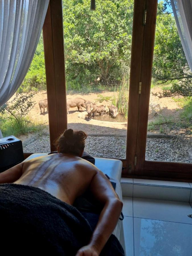 Bush Lodge - Amakhala Game Reserve Exterior photo