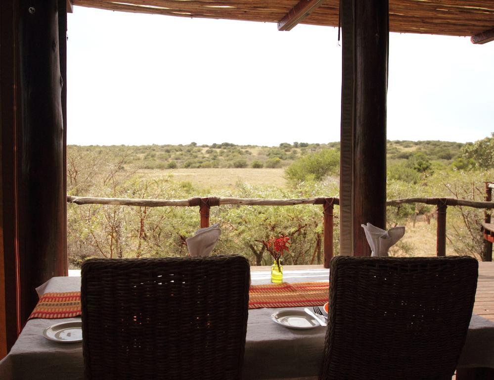 Bush Lodge - Amakhala Game Reserve Exterior photo